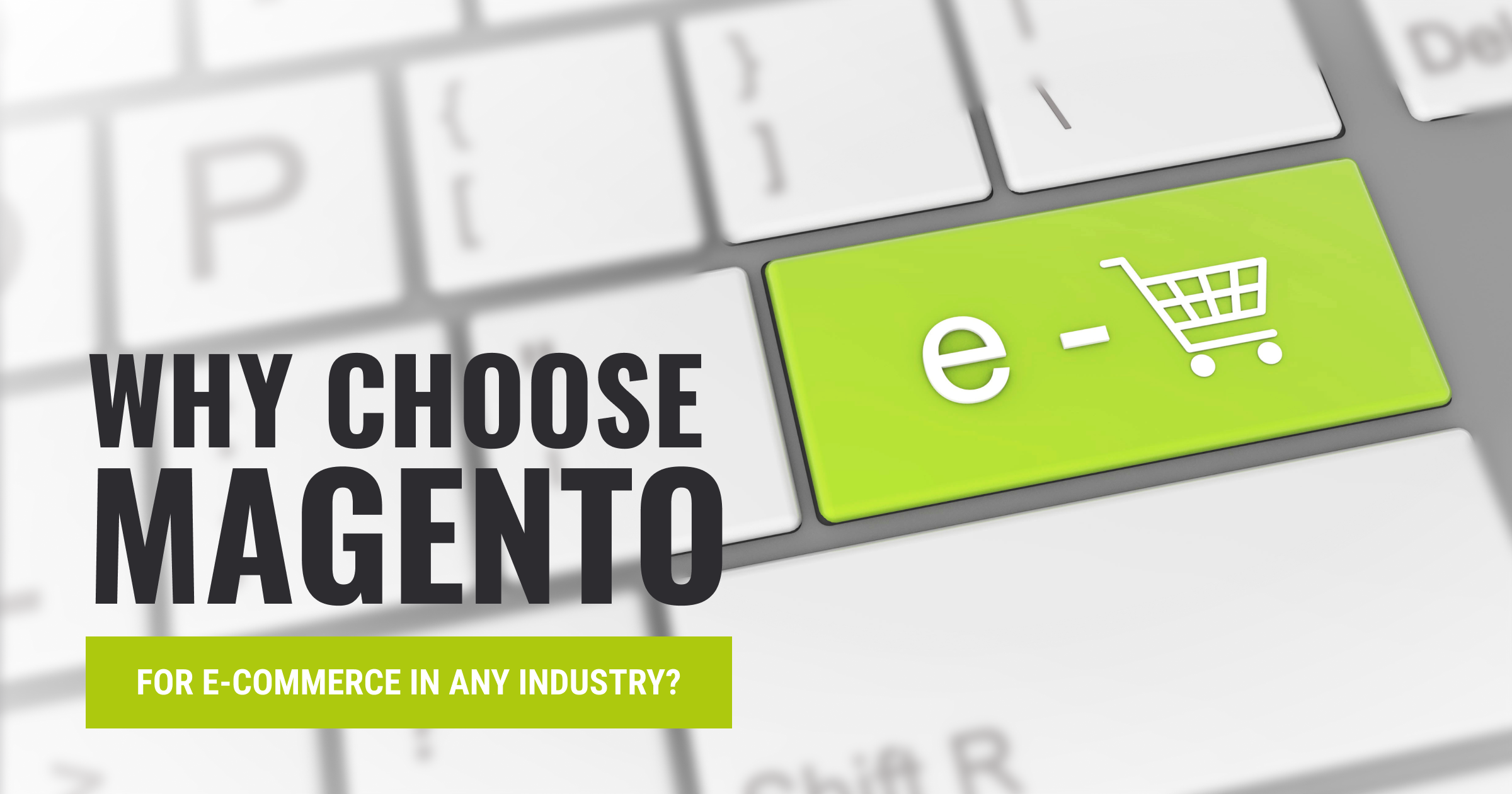 Why Choose Magento for eCommerce in Any Industry?