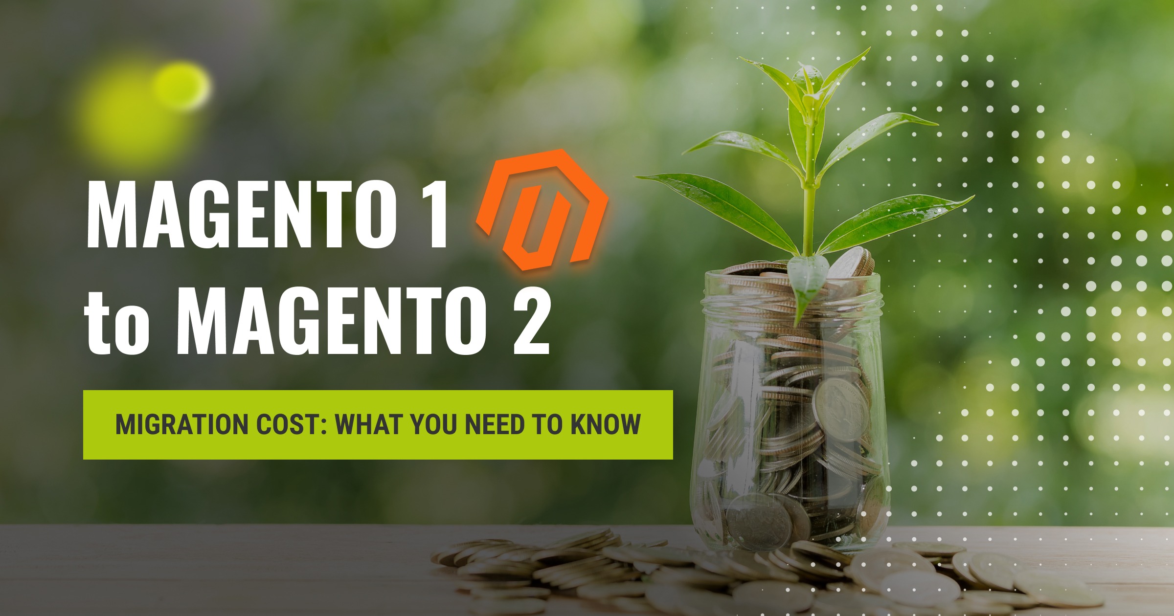 Magento 1 to Magento 2 Migration Cost: What You Need to Know